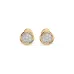 Illusion Earrings