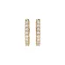 Eternity Earrings