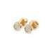 Illusion Earrings